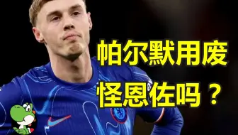 帕尔默被用废了吗？恩佐马雷斯卡几分锅？