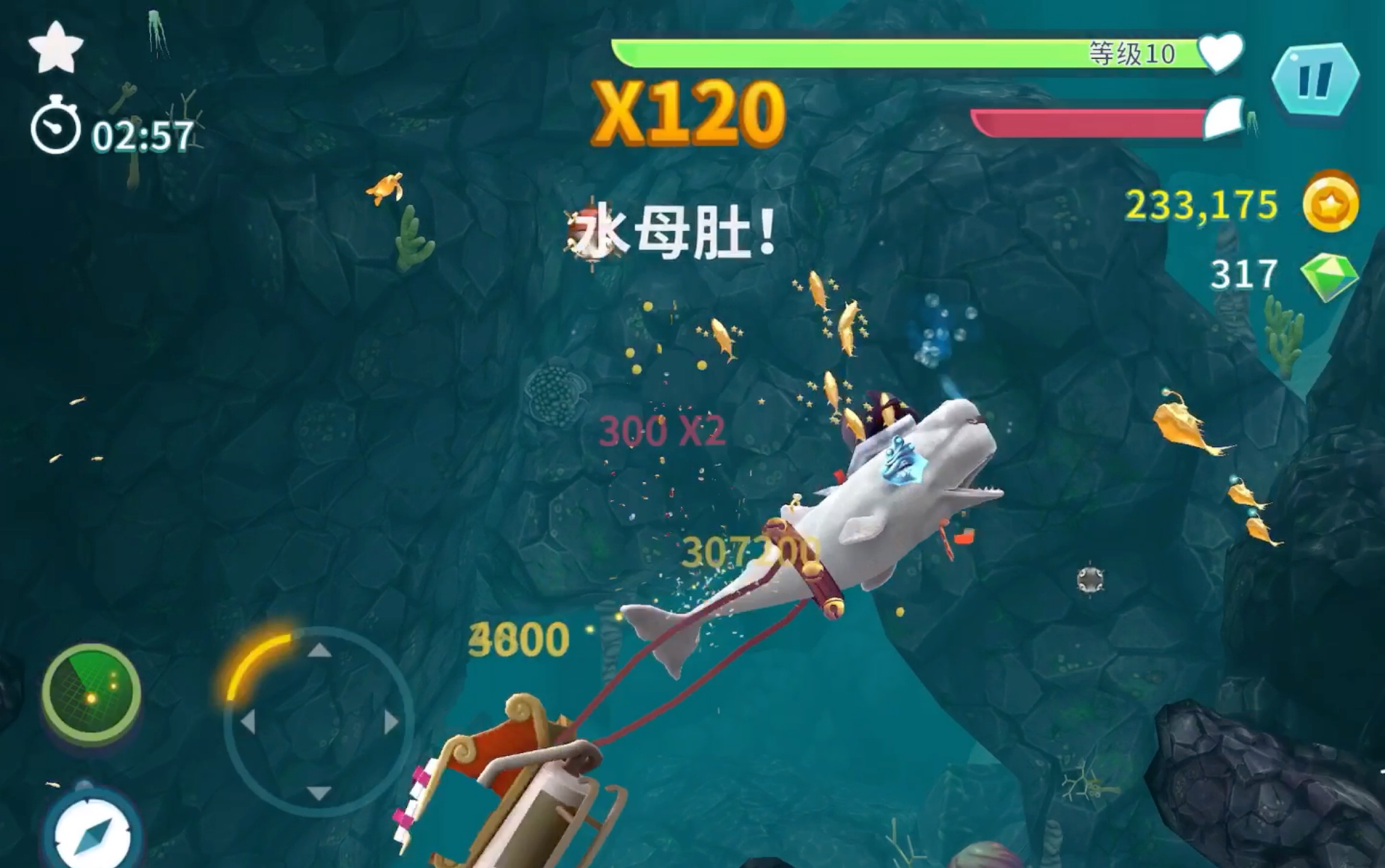 饥饿鲨进化白鲸一分钟2.17亿,欢迎大佬来挑战