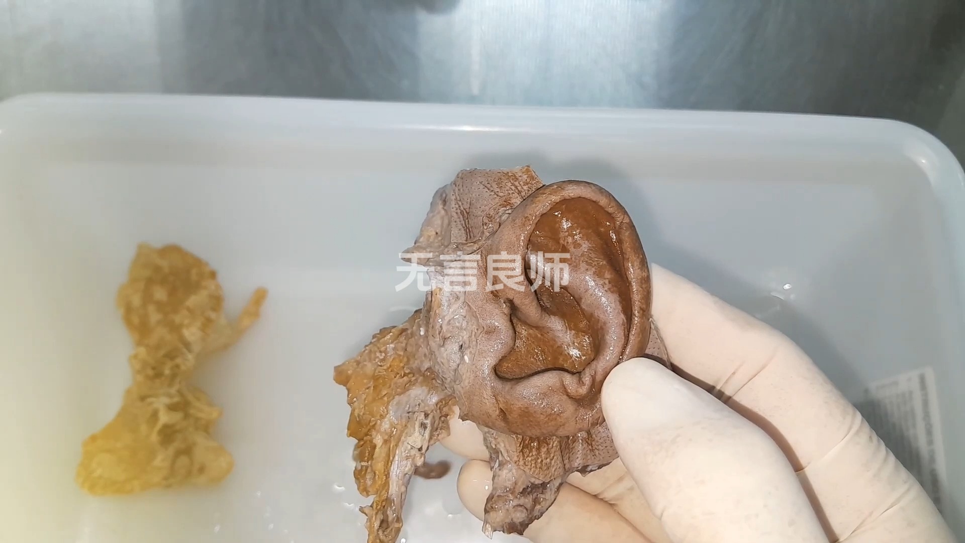 鼓膜的直径约为810毫米,厚度仅约0.1毫米,所以鼓膜是十分脆弱的哔哩哔哩bilibili