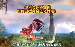 Download Video: 你不会不知道如何白嫖穷奇进化丹吧？