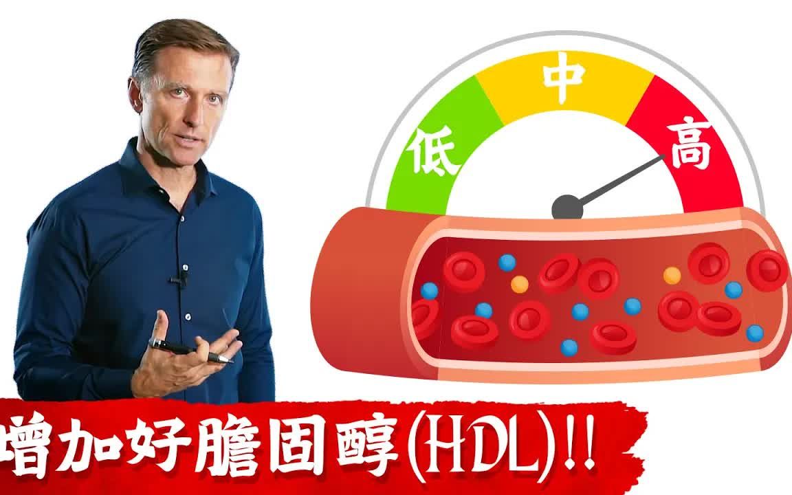 增加好胆固醇(HDL),消炎,抗氧化,有益心血管, ,柏格医生 Dr Berg哔哩哔哩bilibili