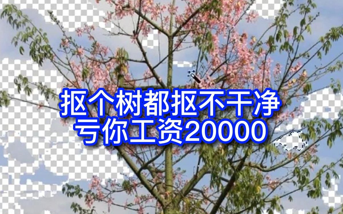 你这工资20000,抠个树都抠不干净!真是服了哔哩哔哩bilibili