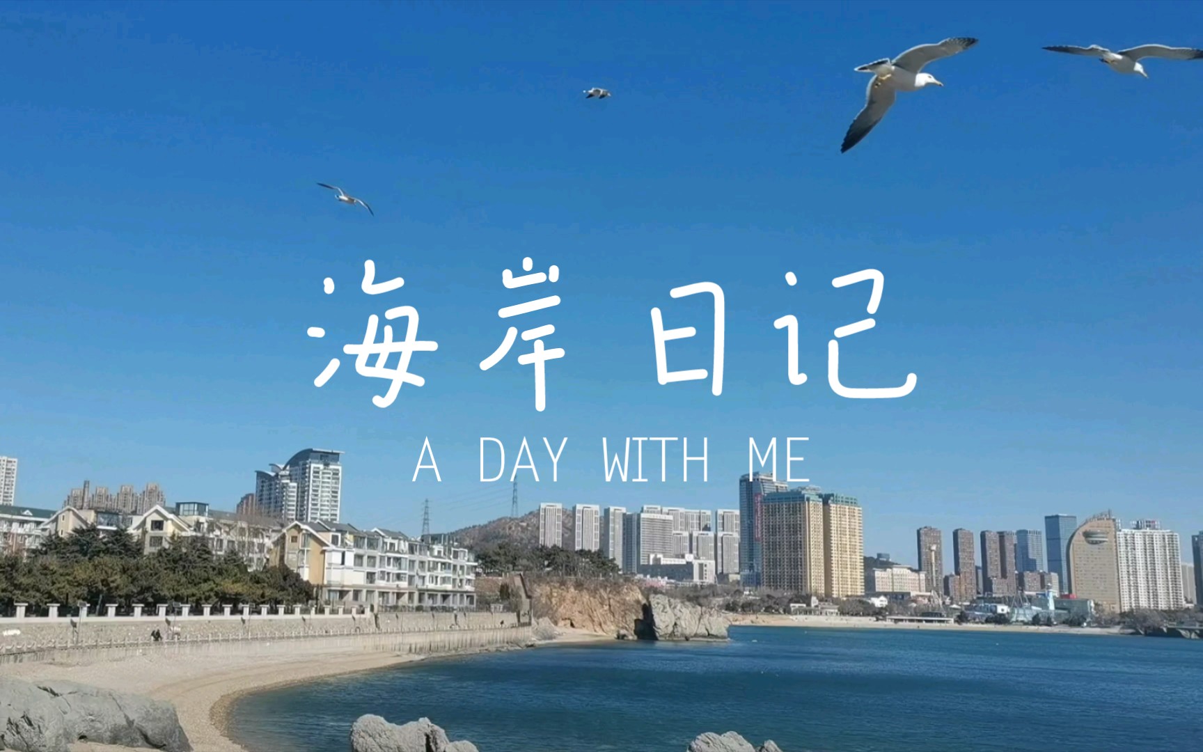 海鸥说:"去码头整点薯条吃吧!