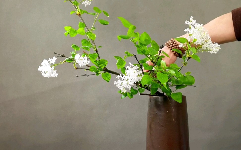 东方插花 绽满枝头,如霞如烟 丁香花_哔哩哔哩_bilibili