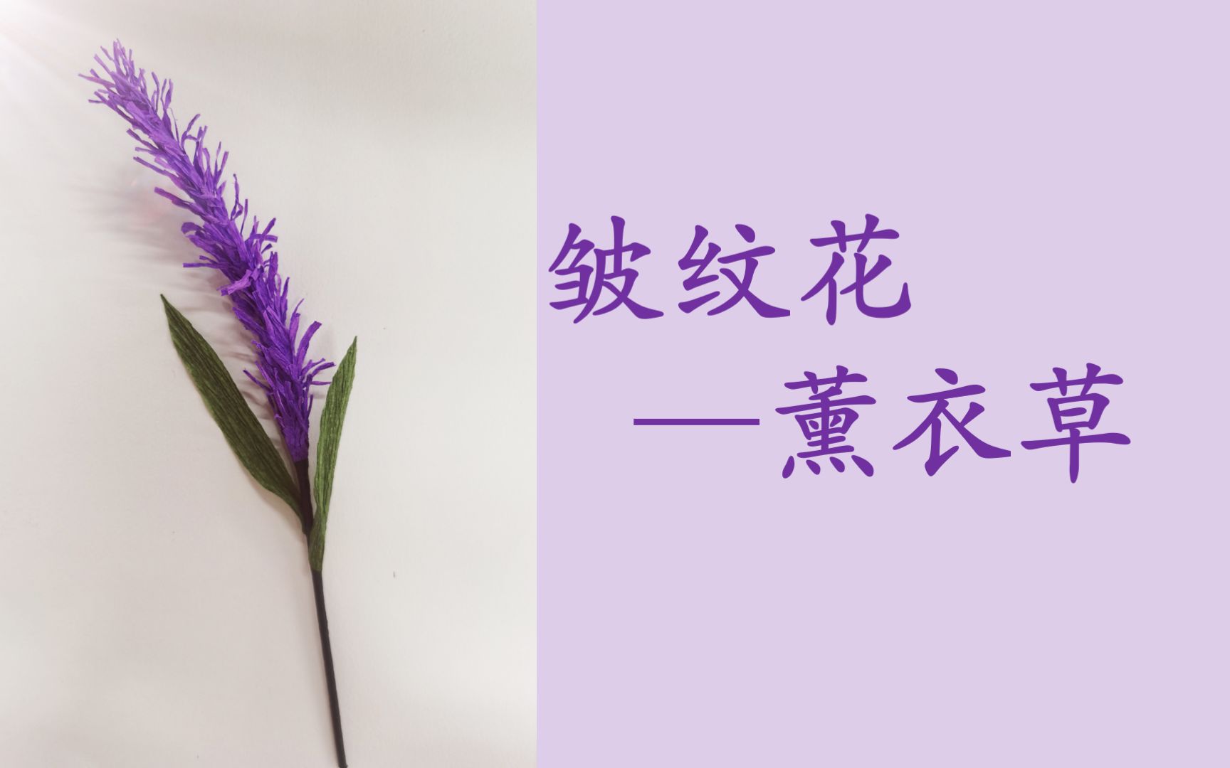 【教程】好看又易学的皱纹纸薰衣草