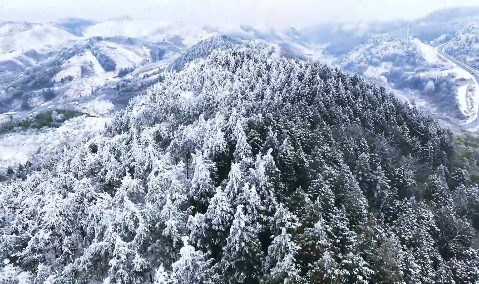 余姚四明山看雪图片