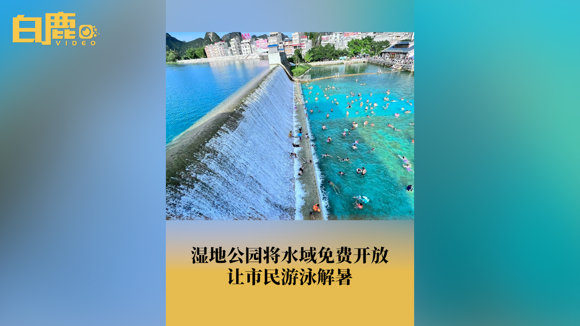 湿地公园免费开放水域让市民游泳哔哩哔哩bilibili