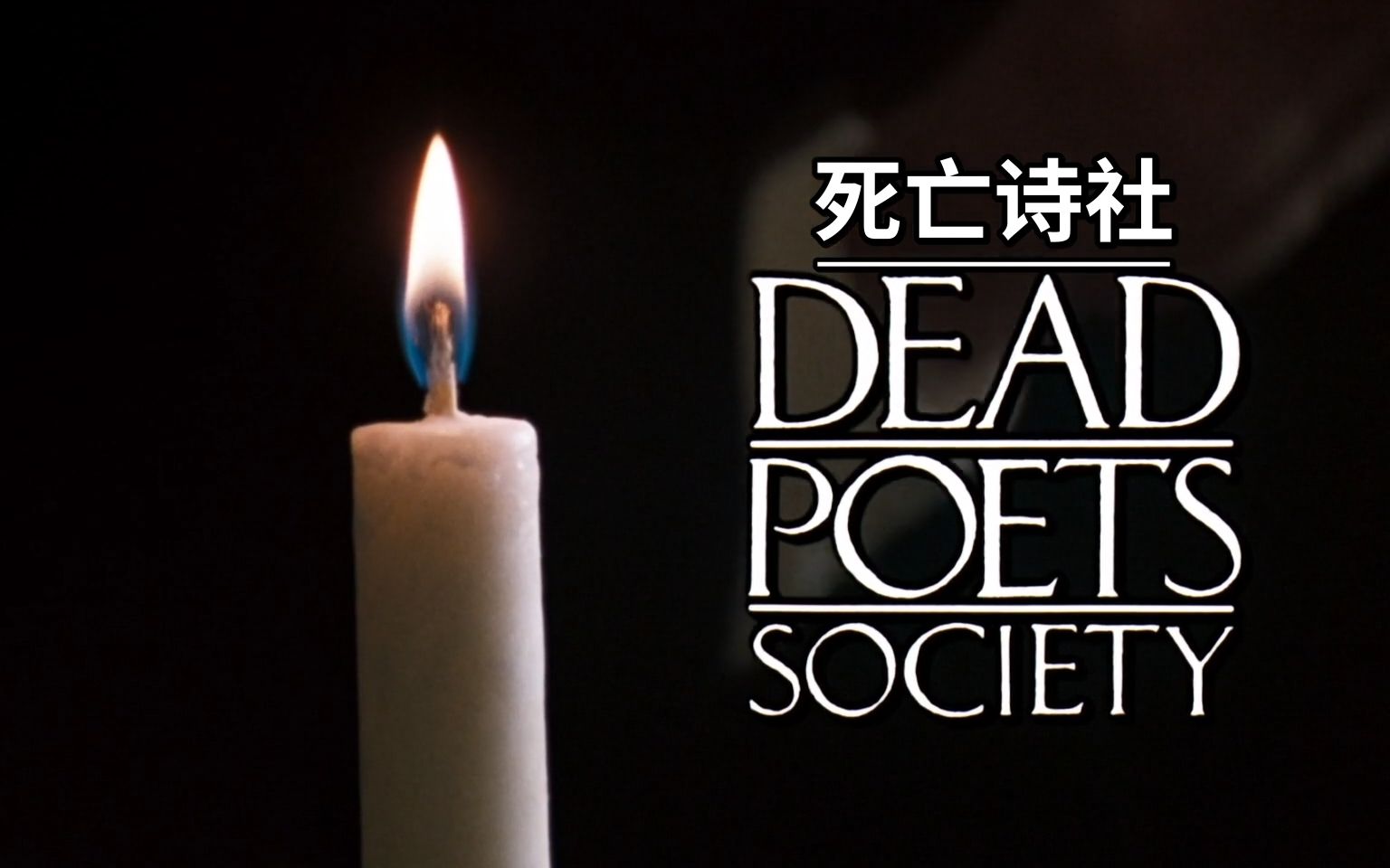 死亡是归宿,浪漫和爱情是意义