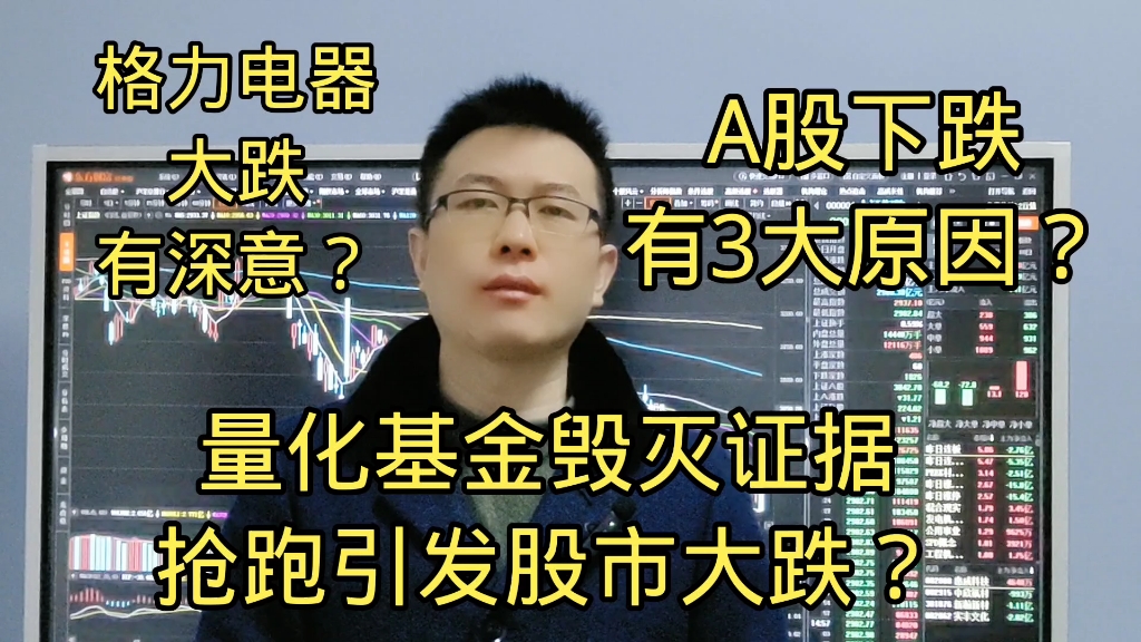 量化基金想毁灭证据引发股市大跌?A股调整3大原因?刘继鹏对的?哔哩哔哩bilibili