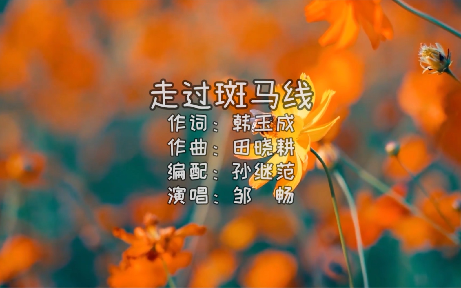 《走过斑马线》作词:韩玉成 作曲:田晓耕 编配:孙继范 演唱:邹畅哔哩哔哩bilibili