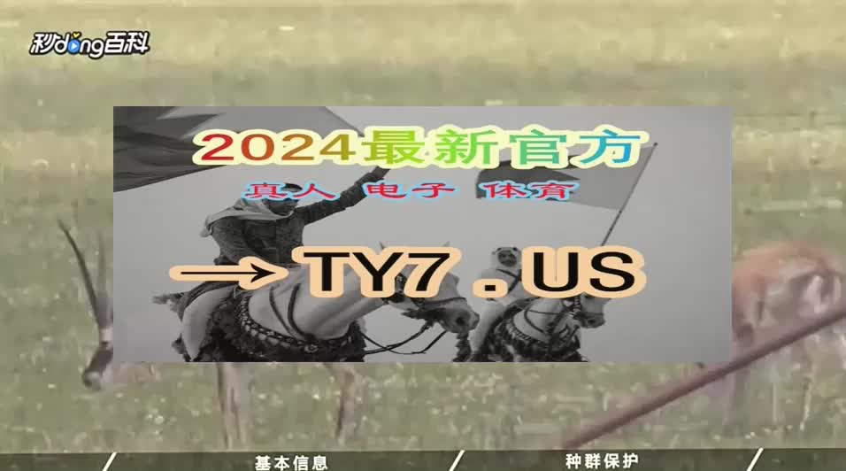 小胡网站百科:山猫体育赛事直播