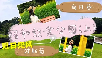 东京国营昭和纪念公园vlog夏季篇 下集 盛夏的放风日冷门景点介绍日本庭园运河大喷泉 盆栽苑儿童乐园by手工制作life In Tokyo 哔哩哔哩 Bilibili