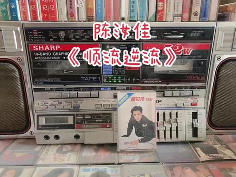 陈汝佳《顺流逆流》