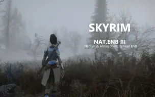 Download Video: ⌈上古卷轴5⌋NAT.ENB III---电影般质感的天际