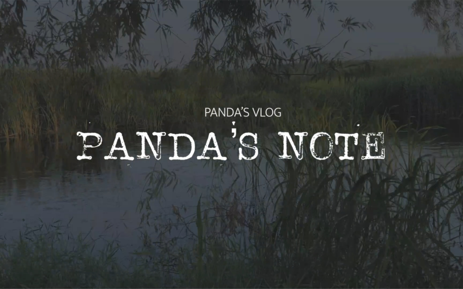 #熊喵PandaSvlog# 熊喵的本子 Panda's Note哔哩哔哩bilibili