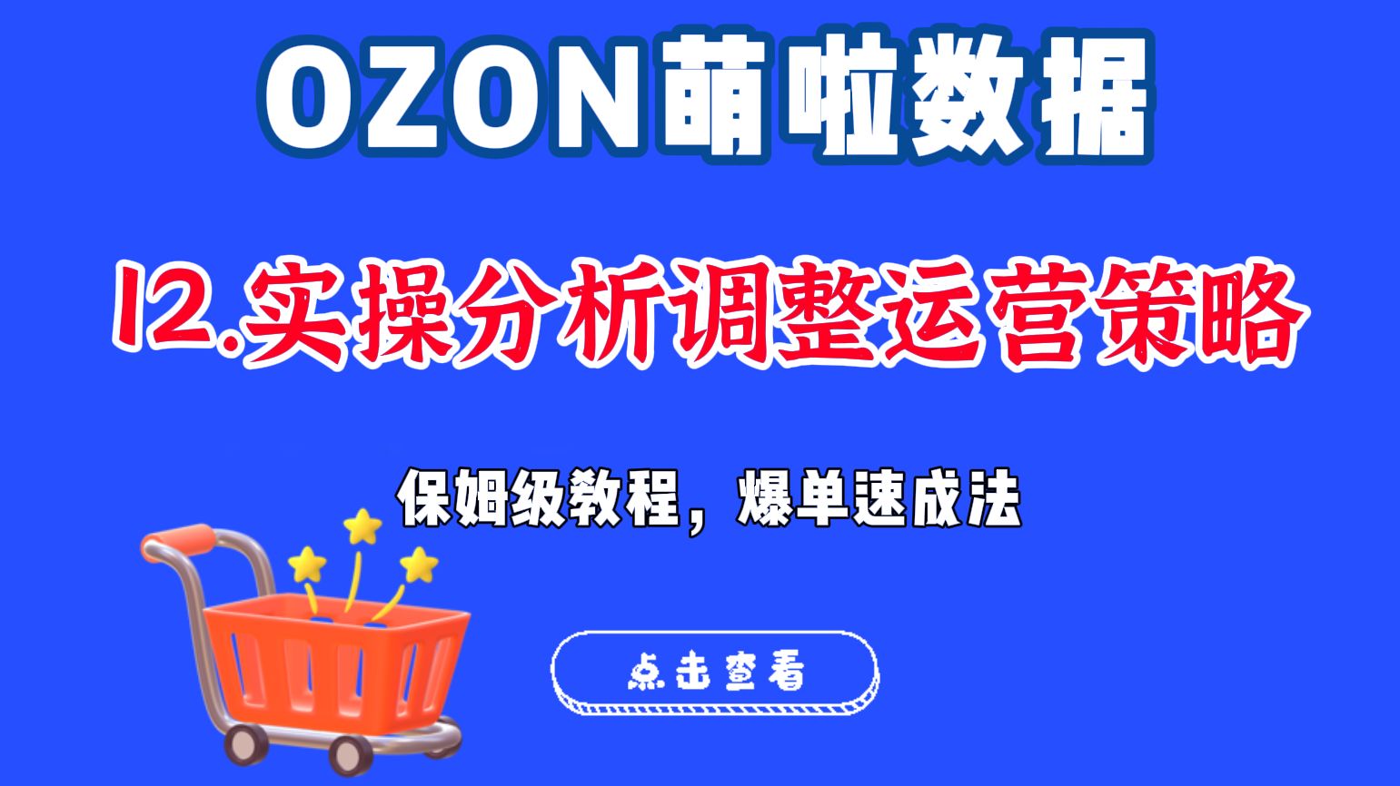 【Ozon行业总览】俄罗斯ozon新手卖家总览行业数据调整运营策略实操保姆级教程(纯干货,关注领取ozon选品工具)哔哩哔哩bilibili