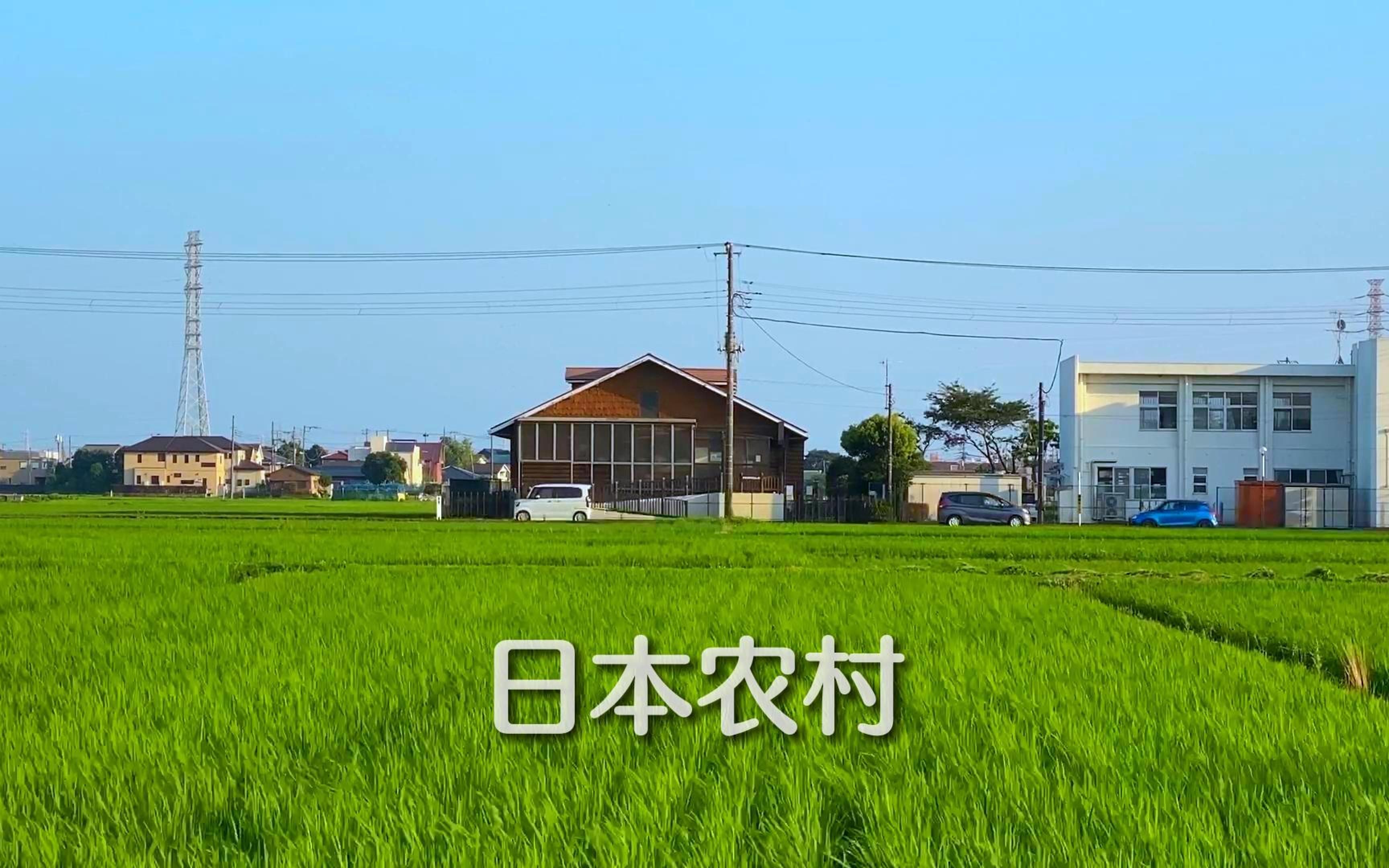 日本这样的农村环境只给你网络的话,你可以住几天?哔哩哔哩bilibili