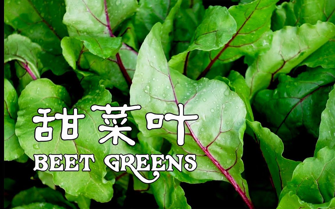 甜菜叶beet greens 最有营养,最值得种植和食用的蔬菜之一,我的减脂