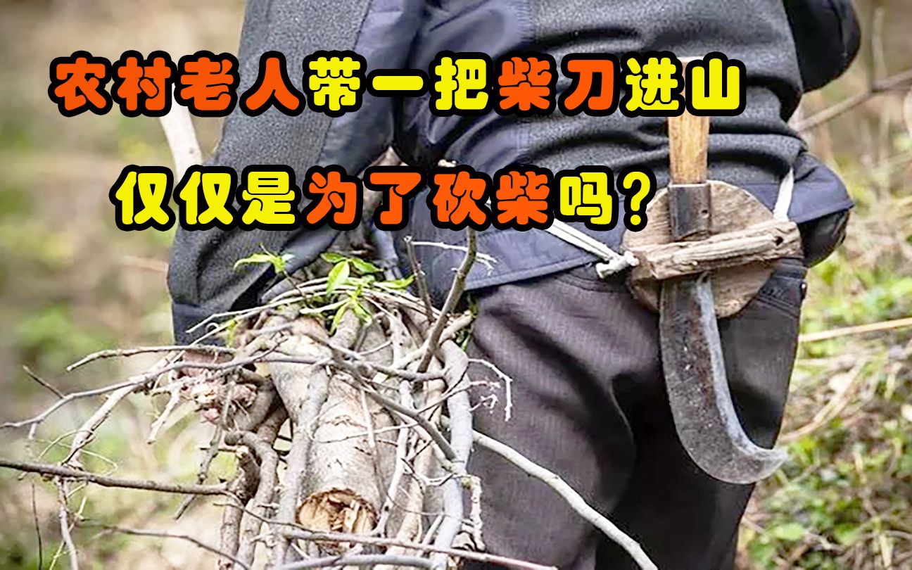 [图]农村老人进山，都喜欢带一把柴刀，难道仅仅是为了砍柴吗？