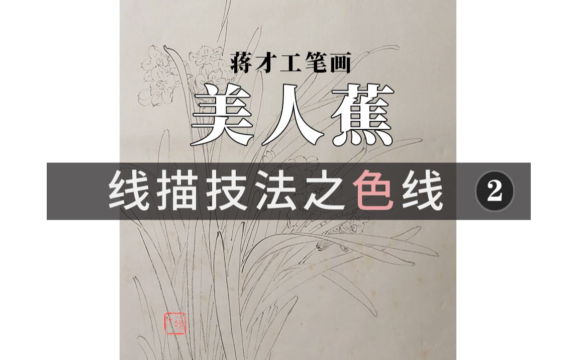 【蒋才国画】工笔画线描/色线 之美人蕉 /下集 (含讲解)哔哩哔哩bilibili