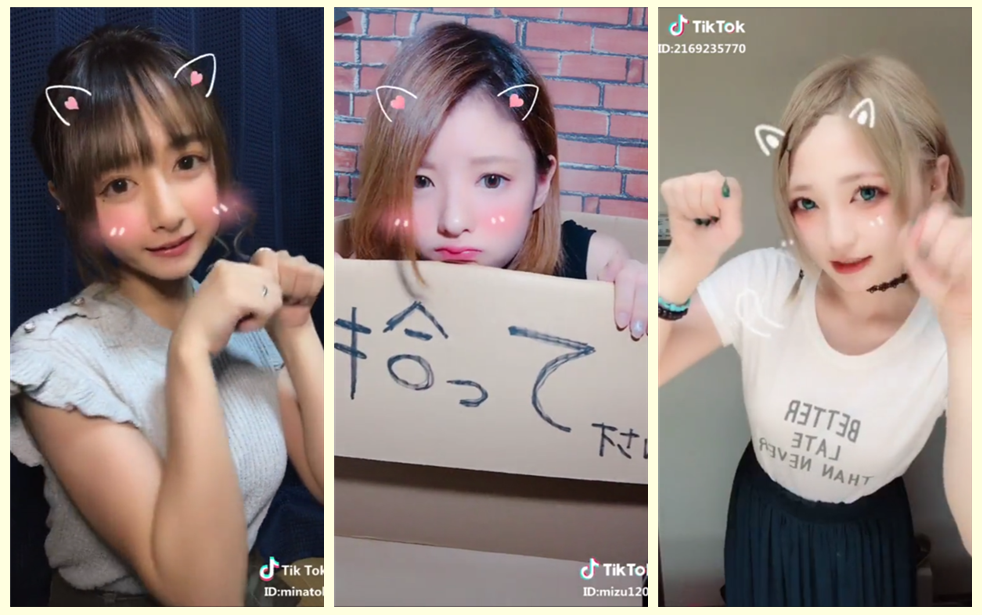 【Tik Tok】萌化了!日语版《学猫叫》哔哩哔哩bilibili