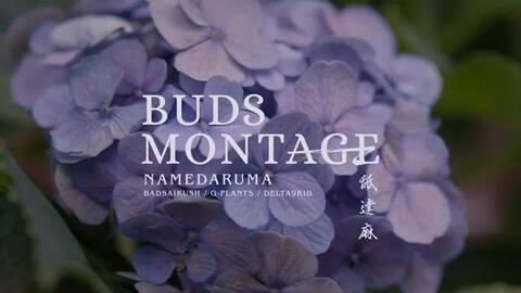 BUDS MONTAGE _ 舐達麻(prod.GREEN ASSASSIN DOLLAR)-哔哩哔哩