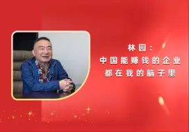 Télécharger la video: 林园：中国能赚钱的企业都在我的脑子里