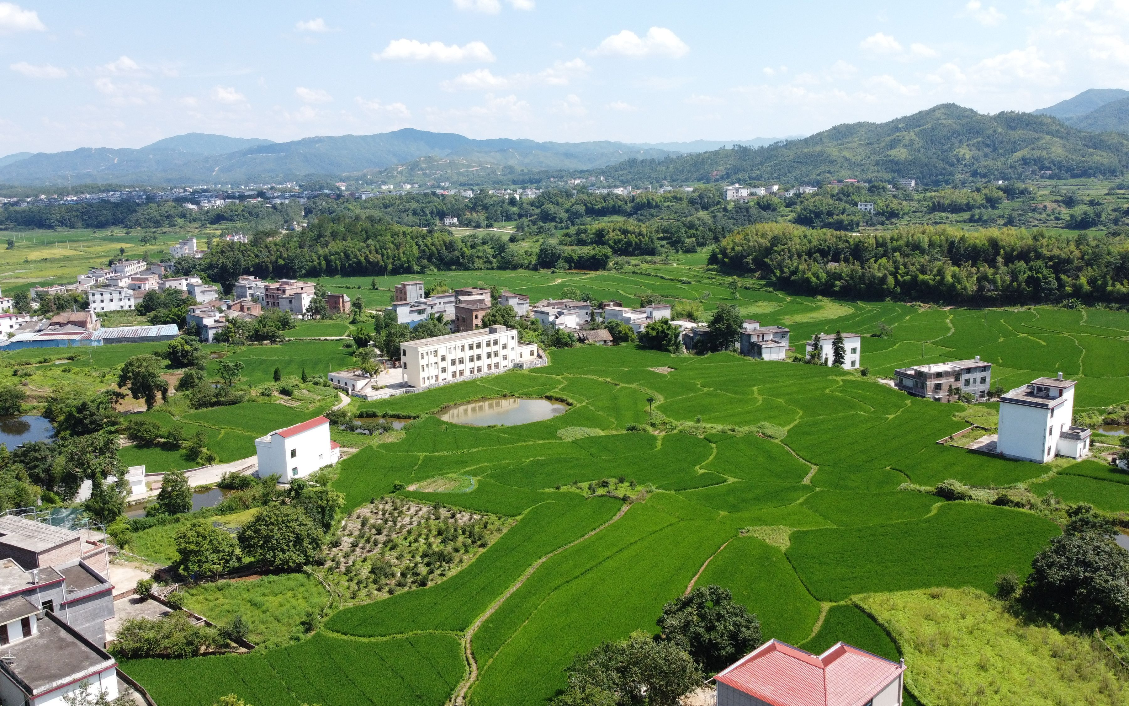 [图]国土空间规划“三区三线”-永久基本农田