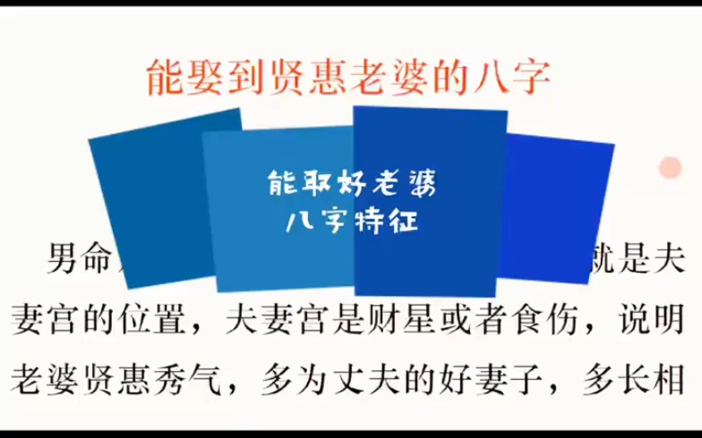 能娶个好老婆的八个字特征有哪些?哔哩哔哩bilibili