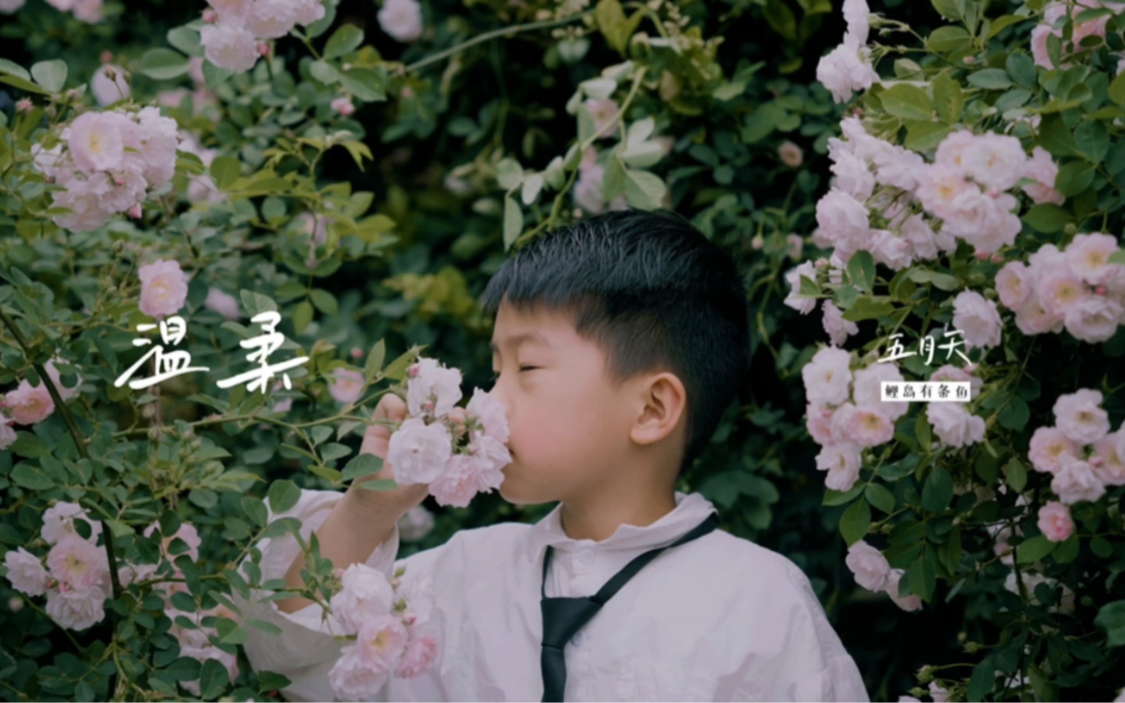 [图]花儿与少年｜心有猛虎 细嗅蔷薇