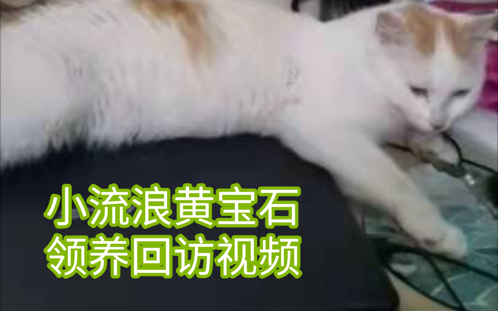 宝石清洗方法视频(宝石清洗方法视频大全) 第2张