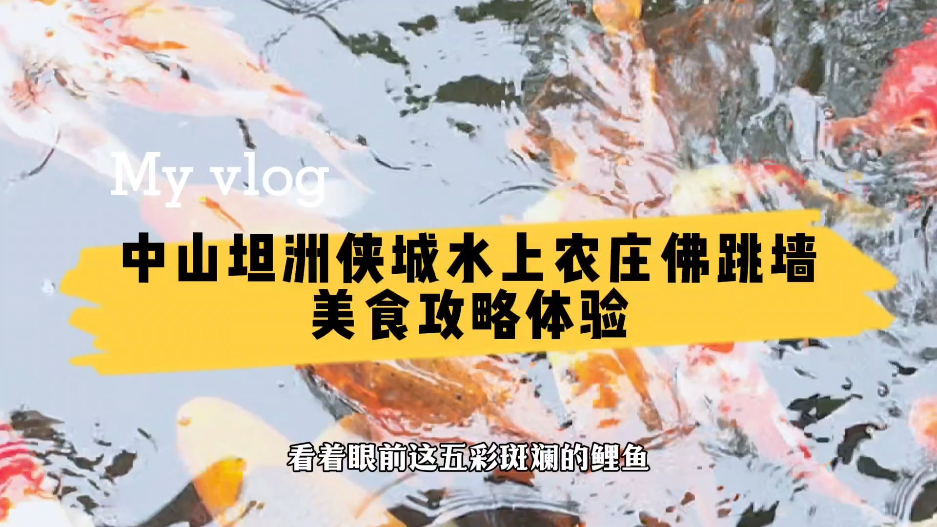 中山坦洲侠成水上农庄,佛跳墙火锅满满的胶原蛋白,美味停不下来