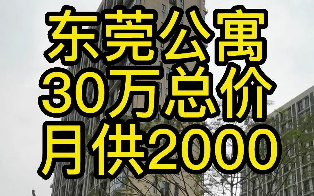 东莞公寓30万总价,月供2000元#东莞房产#湖景12#厚街房产#东莞新房哔哩哔哩bilibili