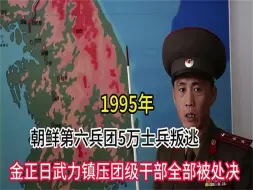 Video herunterladen: 1995年，朝鲜第六军团5万士兵叛逃，清算时团级干部全部被处决