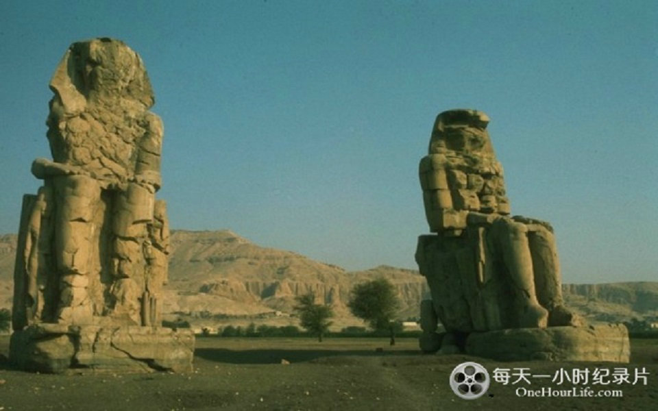 amazing-jackwolf的微博_微博