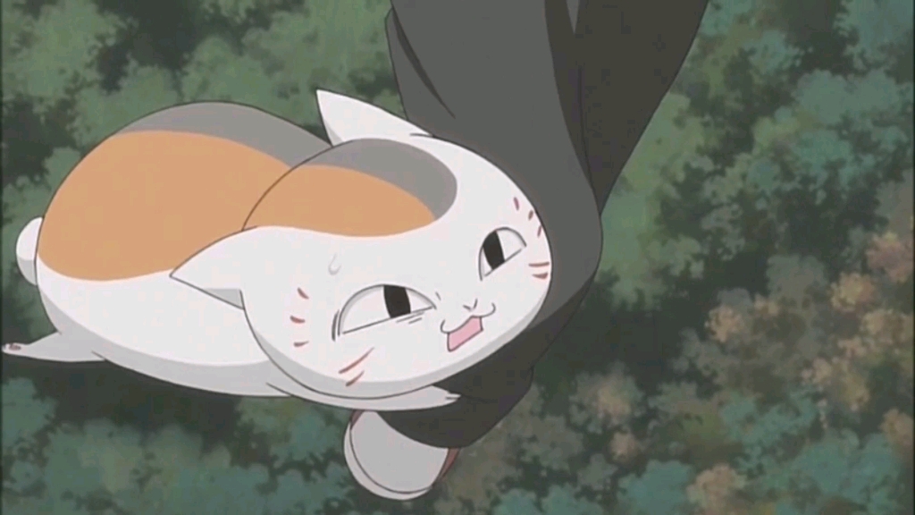 集可爱,撒娇,卖萌,搞笑于一身的猫咪老师合集(三十八)