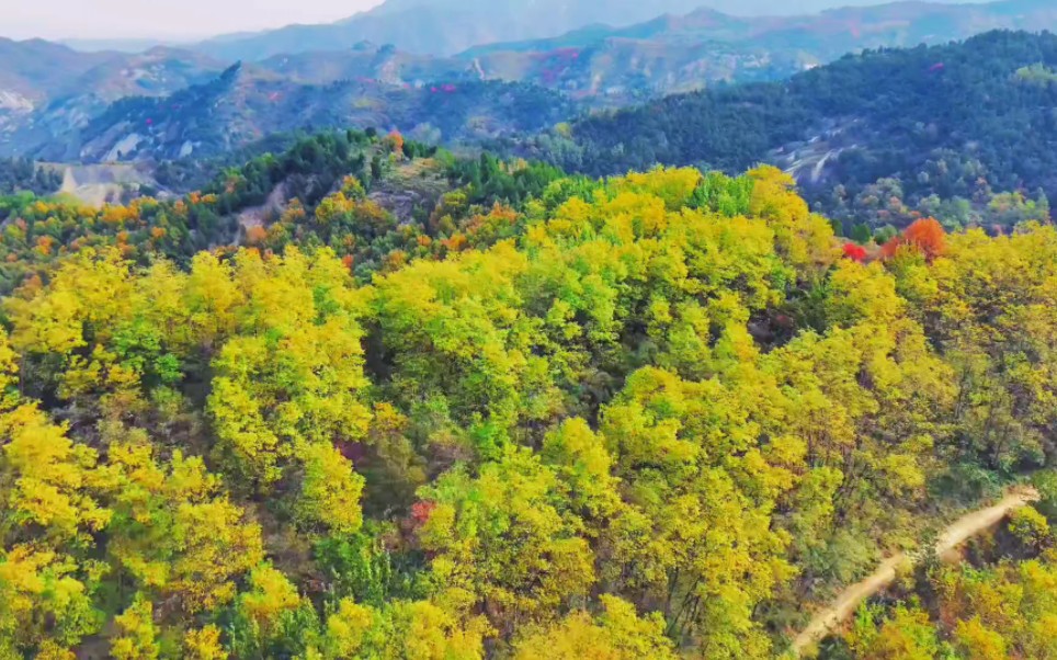 望春山格格党图片