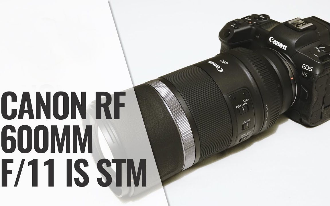 佳能 RF 600mm f11 IS STM 镜头评测带样片哔哩哔哩bilibili