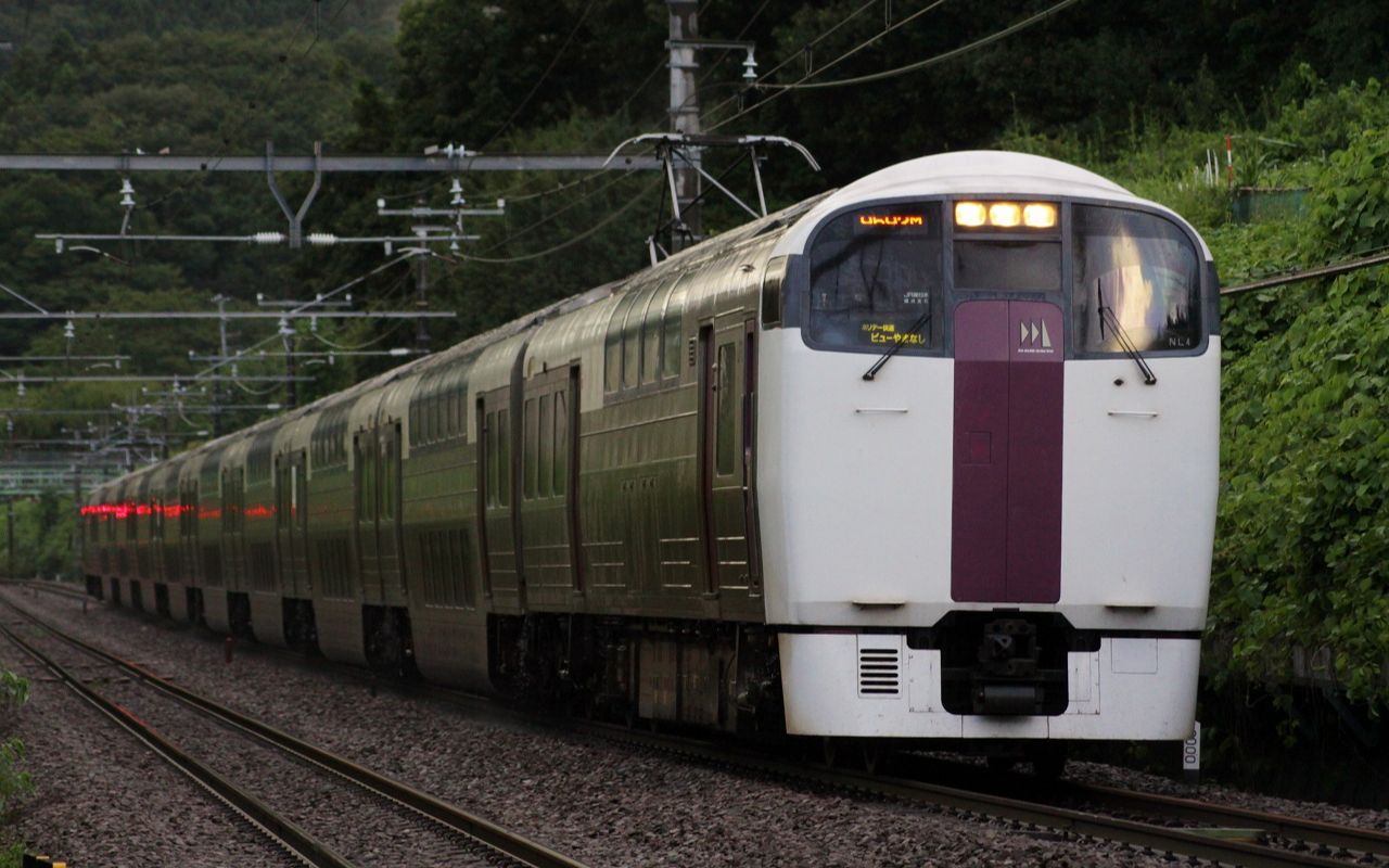 final (临时)ホリデー快速ビューやまなし 小測沢(高尾)→新宿 215系