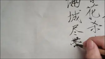 Descargar video: 【瘦金体】不第后赋