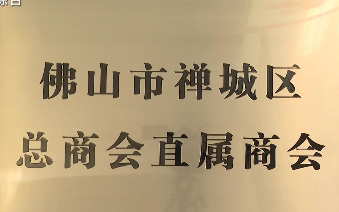 政企合力共谋发展 禅城区召开商协会座谈会哔哩哔哩bilibili