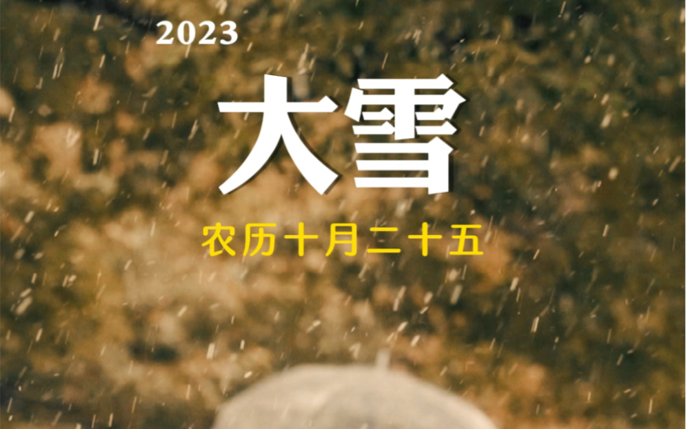 今天是12月7日星期四,今日大雪,大雪是冬天的第三个节气,标志着仲冬