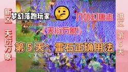 天衍万象 第 5 天:雷石正确用法网络游戏热门视频