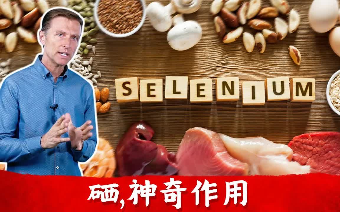 硒,神奇的微量矿物质,柏格医生 Dr Berg哔哩哔哩bilibili