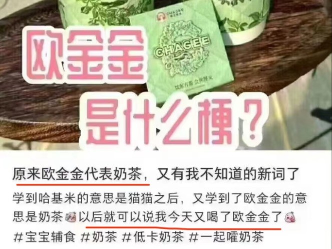 到底谁把欧金金/欧芒果和奶茶划等号的,真TM是个人才,没什么知识的小文青还真敢用哔哩哔哩bilibili