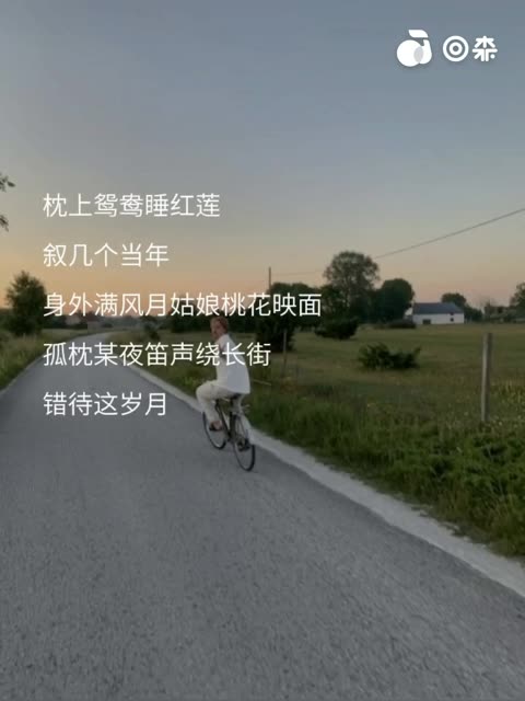 芳华慢 封茗囧菌