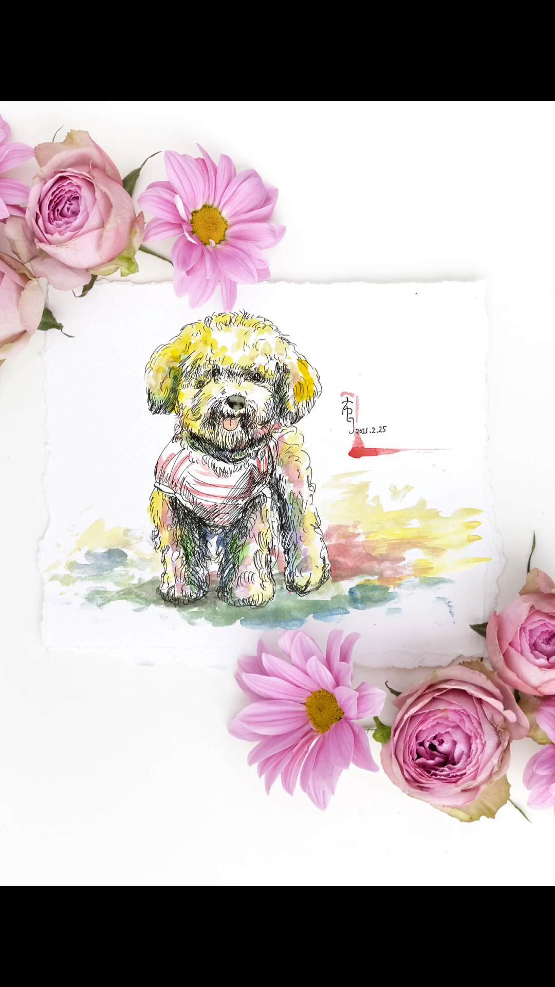 水彩速写泰迪狗狗,宠物的萌态#宠物##水