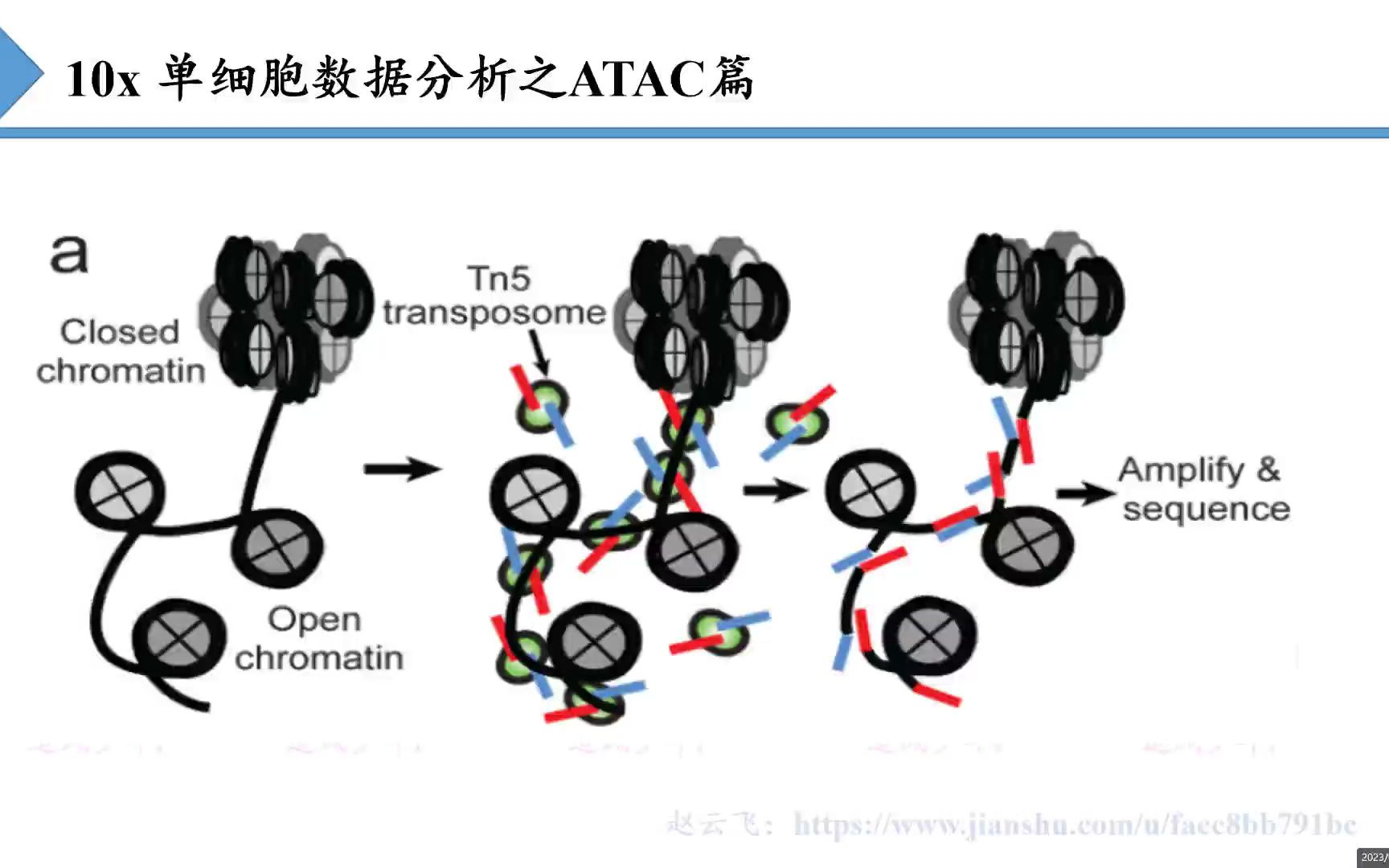 单细胞数据分析之ATAC篇哔哩哔哩bilibili