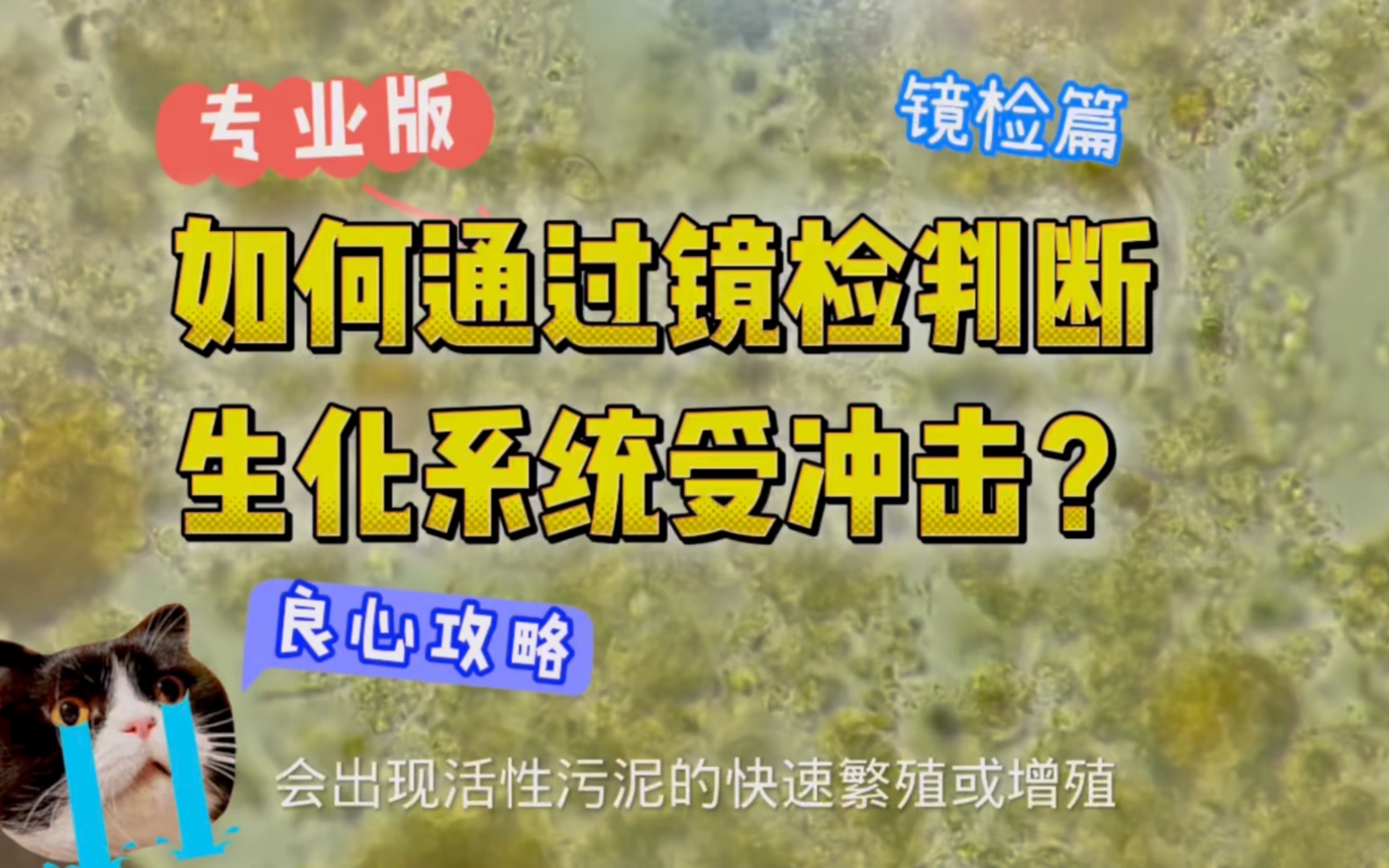 如何提早发现污水处理厂受冲击,避免泡沫、污泥膨胀或出水超标问题?哔哩哔哩bilibili