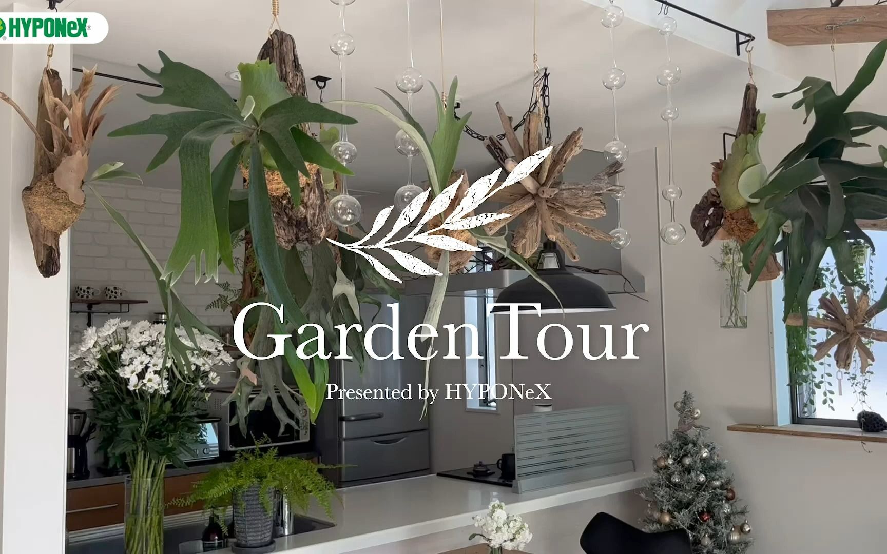 [图]🕊Garden Tour🕊44：以吊挂绿植为主打造明亮的朝南起居室